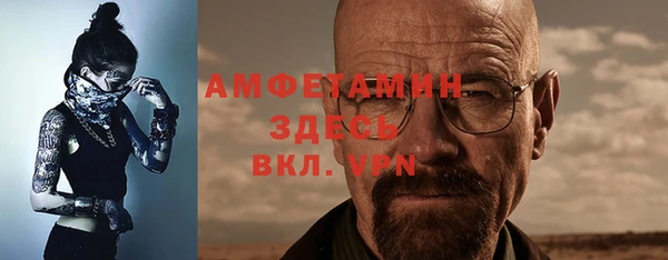 сатива Арсеньев