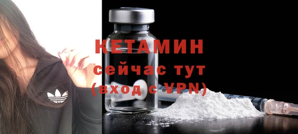 сатива Арсеньев