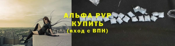 сатива Арсеньев