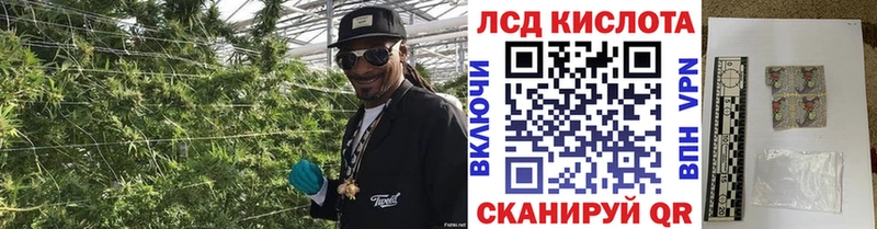 Марки 25I-NBOMe 1,5мг  darknet как зайти  Нязепетровск  где найти  