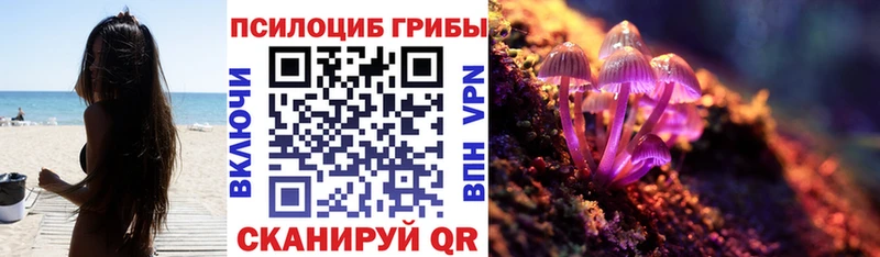 Псилоцибиновые грибы ЛСД MEGA онион Нязепетровск