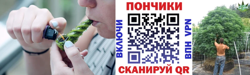 Бошки Шишки ГИДРОПОН  Нязепетровск 